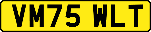 VM75WLT