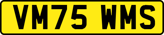 VM75WMS