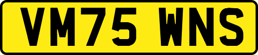 VM75WNS