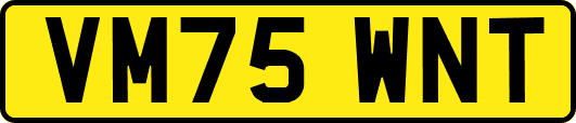 VM75WNT