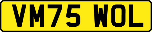 VM75WOL