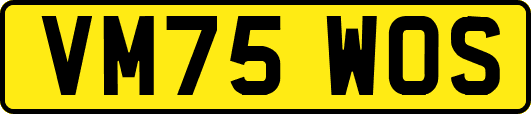 VM75WOS