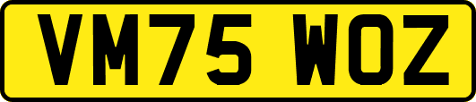 VM75WOZ