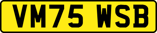 VM75WSB