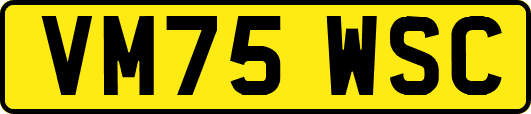 VM75WSC