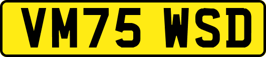 VM75WSD