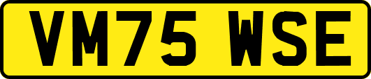 VM75WSE