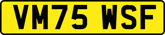 VM75WSF