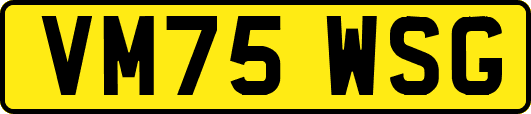 VM75WSG