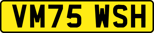VM75WSH