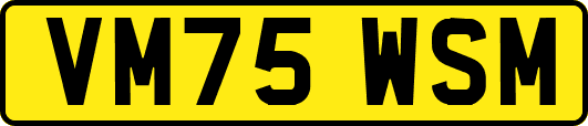 VM75WSM