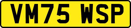 VM75WSP