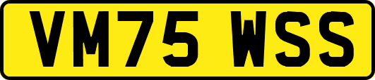 VM75WSS