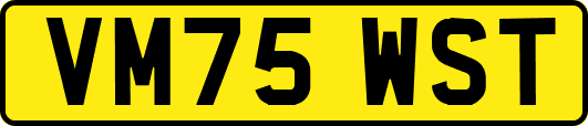 VM75WST