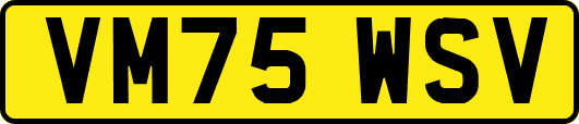 VM75WSV