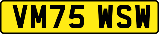 VM75WSW