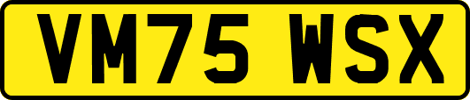VM75WSX