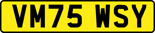 VM75WSY