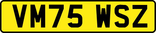 VM75WSZ