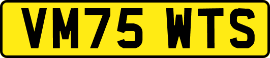 VM75WTS