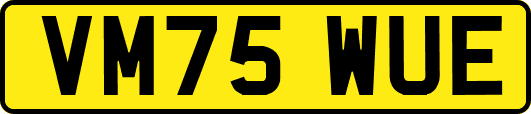VM75WUE