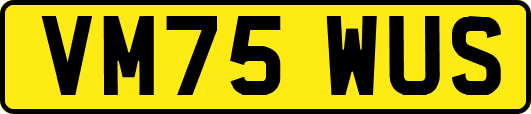 VM75WUS
