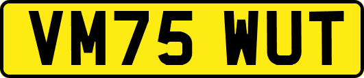 VM75WUT