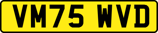 VM75WVD