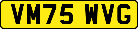 VM75WVG