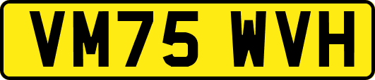 VM75WVH