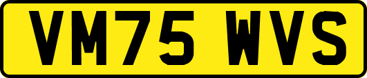 VM75WVS
