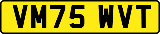 VM75WVT