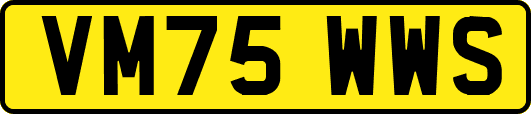 VM75WWS