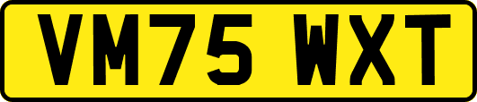VM75WXT