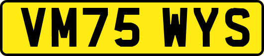 VM75WYS