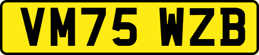VM75WZB