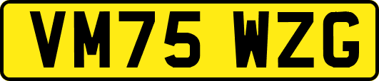 VM75WZG
