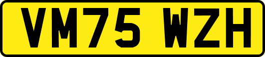 VM75WZH
