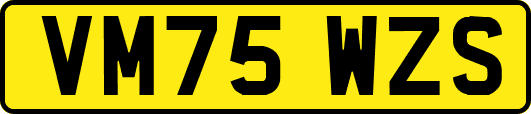 VM75WZS