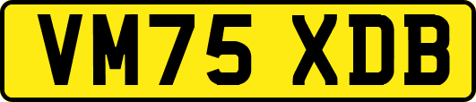 VM75XDB