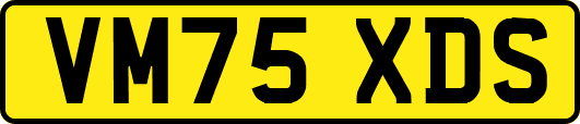 VM75XDS