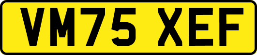 VM75XEF