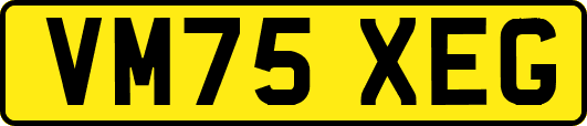 VM75XEG