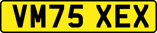 VM75XEX