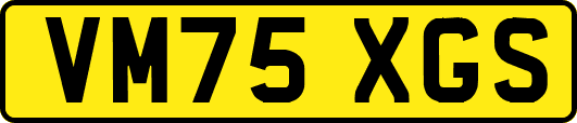VM75XGS