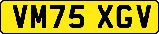 VM75XGV