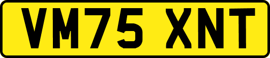 VM75XNT