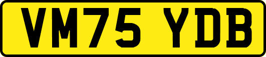 VM75YDB