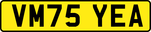 VM75YEA