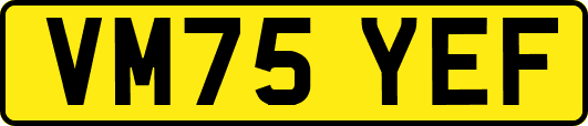 VM75YEF